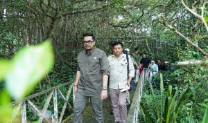 Kunjungi TWA Pulau Bakut, Wamenhut Sulaiman Umar Tinjau Konservasi Bekantan