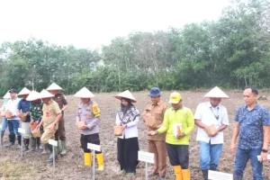 66 Hektare Lahan Disiapkan Polres Balangan Guna Perkuat Ketahanan Pangan