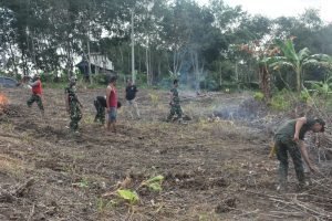 Satgas TMMD Ke-123 Bersama Warga Desa Talusi Sulap Lahan Tidur Jadi Perkebunan