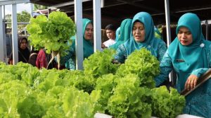 TP PKK Kecamatan Angsana Gelar Pembinaan Administrasi Dasa Wisma