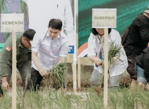 Bupati Tanbu Pimpin Penanaman Padi Serentak, Dukung Swasembada Pangan Nasional