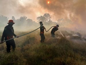 BPBD Hulu Sungai Tengah Aktifkan Mitigasi Hadapi Ancaman Kemarau dan Karhutla
