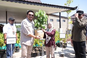 Wamenhut Serahkan 500 Bibit Tanaman ke Tanah Bumbu, Dorong Pertanian dan Ekonomi Warga