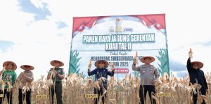 Bupati Andi Rudi Latif Pimpin Panen Jagung Serentak Nasional di Batulicin