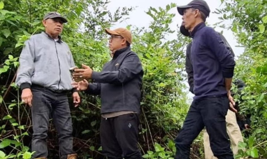 Bupati Kotabaru Tinjau Lokasi Tambak Udang Intensif di Sungai Limau