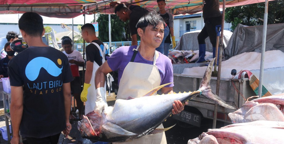 KKP Usulkan Revisi Regulasi PNBP Perikanan Tangkap, Demi Keadilan dan Laut yang Berkelanjutan