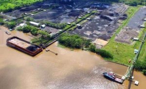 Saham TEBE Melonjak Usai Mandatory Tender Offer, H Isam Kunci Kepemilikan Mayoritas