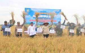 Bupati Rahmat Targetkan Panen Padi Tiga Kali Setahun di Tanah Laut